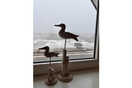 Sylt Ferienwohnung 30.5.-6.6.26- „Storchennest“ ❤️ - München Schwabing-Freimann