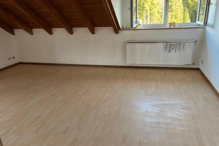 Helle große 2 Zimmer Wohnung in St.Blasien - St. Blasien