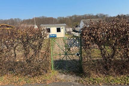 Garten Pacht Garten Schrebergarten - Hildesheim Oststadt/Stadtfeld