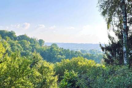 Grundstück zu verkaufen in Siegburg 249.000,00 € 786 m²