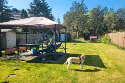 Garten Pacht ca. 800qm Fürstenwalde - Zeuthen