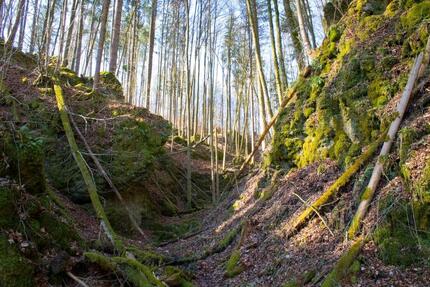 ** Immobilie MFH in Wolfenbüttel vermietet 1900€ mtl KALTMIETE **