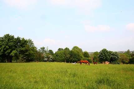 Wohnung zum Mieten in Helbra 249,00 € 44.67 m²