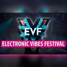 Electronic Vibes Festival | Feel the Beat. Live the Vibe
