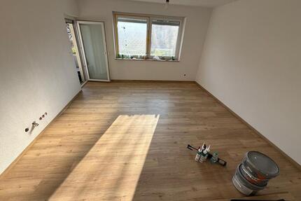 Zweizimmerwohnung (55qm) Erstbezug nach Renovierung - Friedrichshafen Allmannsweiler