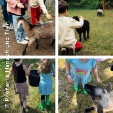 Kindertags-Special - Schafe, Ziegen & Natur