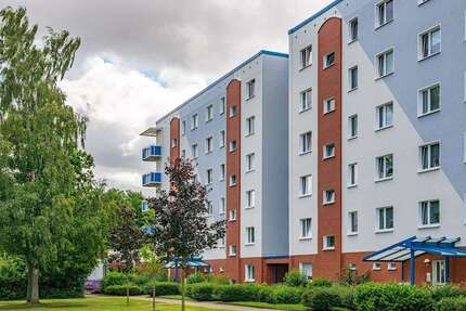 Wohnung zum Mieten in Rostock 436,00 € 57.4 m²