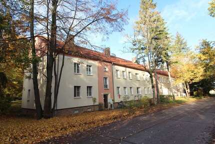 Wohnung zum Mieten in Bernburg (Saale) 376,00 € 64.75 m²