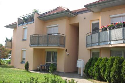 3 Zimmerwohnung in ruhiger grüner Wohnlage - Weinböhla