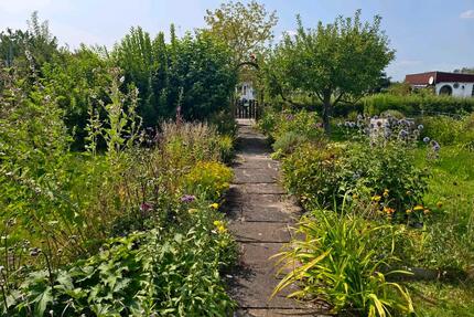 Schöner Kleingarten Schrebergarten nahe Westpark abzugeben - Braunschweig Timmerlah-Geitelde-Stiddien