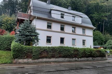 Burgblick Scharfenstein, renovierte 1-Raum-Wohnung im Zschopautal - Wolkenstein