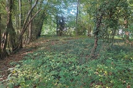 WALDGRUNDSTÜCK GARTENGRUNDSTÜCK FAST 600 QM NEUWIED MELSBACH