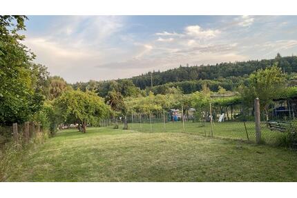 Frisch renoviertes Haus (1Jahr)Kein Notverkauf - Singen (Hohentwiel)