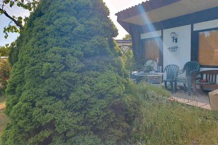 Garten ca. 400 qm im Kleingartenverein - Brandenburg an der Havel Bahnhofsvorstadt