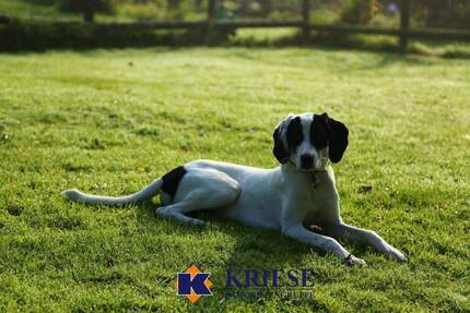 *Preisreduzierung* Exklusives Baugrundstück mit Altbestand in Germerings bester Lage