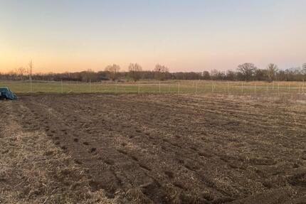 Garten Acker Gemüse Parzelle Potsdam