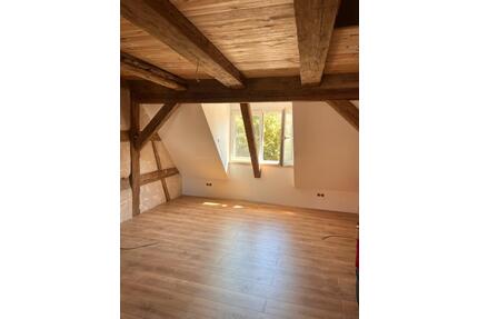 Charmante Maisonette Wohnung am Schillerplatz mit Klimaanlage - Bamberg Gärtnerstadt