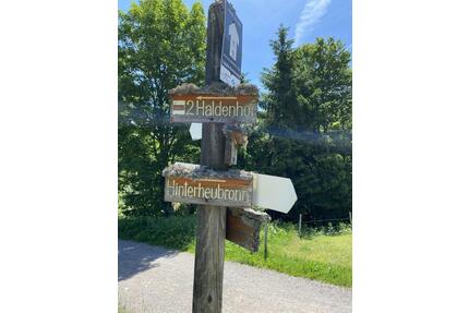 Lukratives Anlageobjekt: Hotel und Berggasthof „Haldenhof“ in 79692 Kleines Wiesental