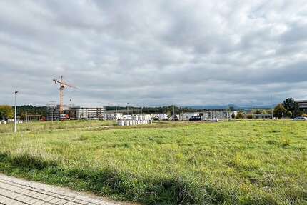 Haus zum Kaufen in Wernau 699.800,00 € 142 m²