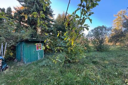 Freizeitgrundstück in Weinstadt zu verpachten