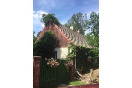 Haus mit großem Garten in Oderbruch. Alleinlage. - Bad Freienwalde (Oder)