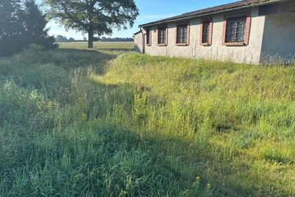 lagerhalle gewerbe haus grundstück bauen grundstück EFH DH - Vellahn