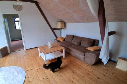 Ferienhaus am Tharandter Wald mit und ohne Haustier - Freiberg