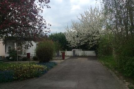 Frankfurt-Nieder-Erlenbach*NATUR PUR*Schöner IDYLLISCHER BUNGALOW - Frankfurt am Main Bonames