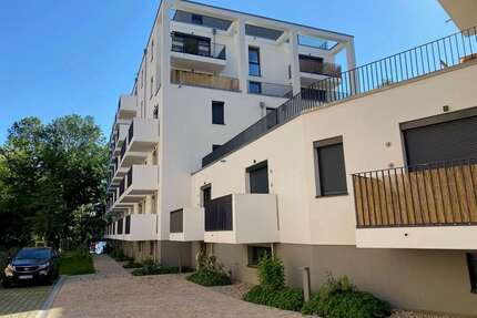 Wohnung zum Mieten in Berlin 488,40 € 24.42 m²