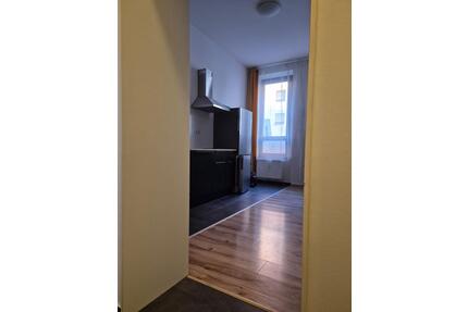 Top Lage Nürnberg St. Peter möblierte 2-Zimmer-Wohnung