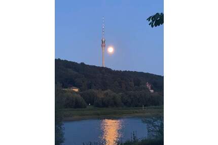 Reihenhaus in Elbnähe! 4 Zimmer mit Terrasse - Dresden Blasewitz