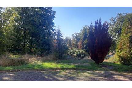 Grundstück zu verkaufen in Waldbröl 120.000,00 € 882 m²