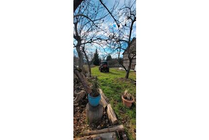 Landwirtschaft mit viel Eigenland zum fertig sanieren - Probstzella