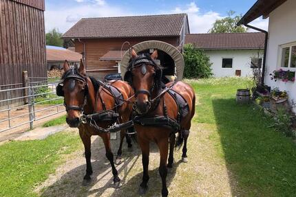 Wohnung auf dem Bauernhof, Ferienwohnung - Durach