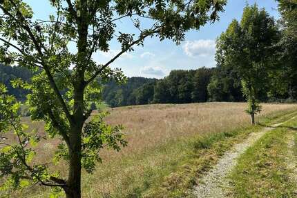 Grundstück in Moosthenning 269.000,00 € 18230 m²