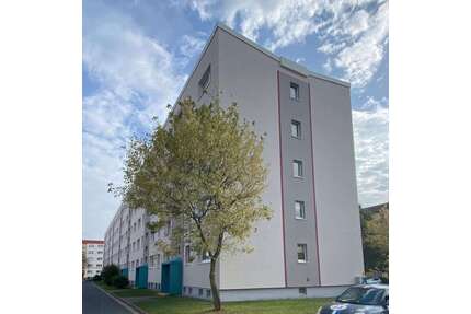 Wohnung zum Mieten in Mittweida 320,00 € 55.9 m²