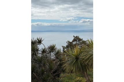 Tolles Haus mit Meerblick auf Madeira zu vermieten - Trier Kürenz