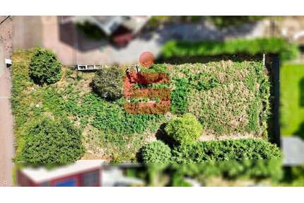 Grundstück zu verkaufen in Haßloch 260.000,00 € 529 m²