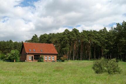Landhaus für Natur- und Ruheliebende in traumhafter Waldrandlage - Dömitz
