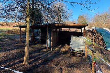 Grundstück zu Verpachten ca. 5000m2 Pferdehaltung Offenstall - Tiefenbronn