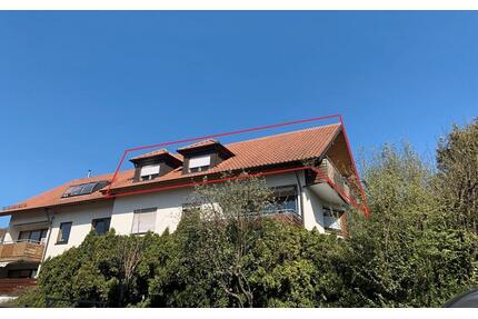 Helle 4 Zimmer Wohnung mit Balkon und TG Stellplatz zu vermieten - Neuffen