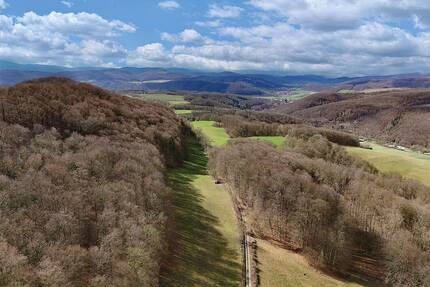 0,87 ha Wald mit altem Buchenbestand und Grünland - Asbach-Sickenberg