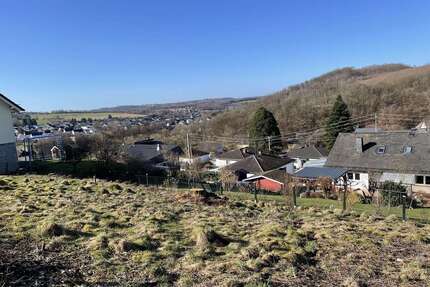 Grundstück zu verkaufen in Luckenbach 35.000,00 € 500 m²