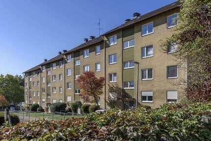 Wohnung zum Mieten in Bad Bergzabern 499,00 € 57.81 m²