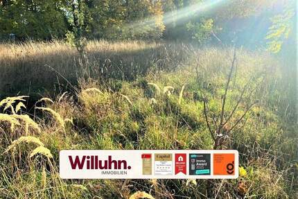 Baugrundstück mit Potenzial - 2.725 m² im Mischgebiet zur freien Entfaltung - Leipzig Holzhausen