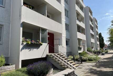 Wohnung zum Mieten in Halle (Saale) 322,00 € 56.65 m²