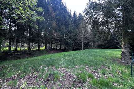 Grundstück zu verkaufen in Bad Schmiedeberg 40.000,00 € 1109 m²