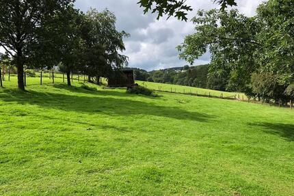 Saniertes EFH mit XL Grundstück - Tierhaltung möglich - Hellenthal