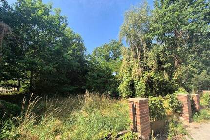 Provisionsfrei: 1.925 m² Entwicklungsgrundstück in Forst - vielseitig nutzbar in ruhiger Lage - Forst (Lausitz) Forst-Stadt