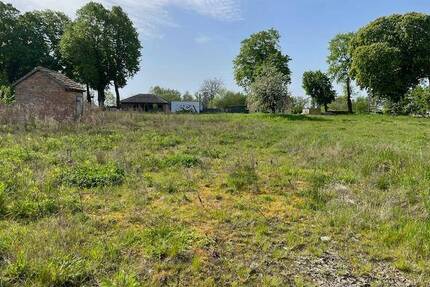 Freies Bauland für bis zu 8 Grundstücke - Brunn